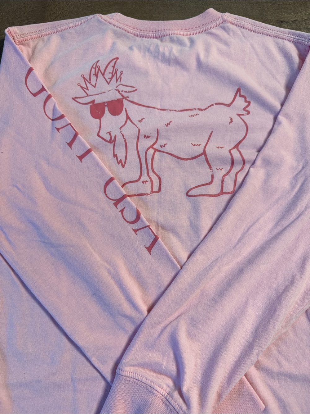 GOAT USA- Teen Boy Long Sleeve Pink Graphic Tee